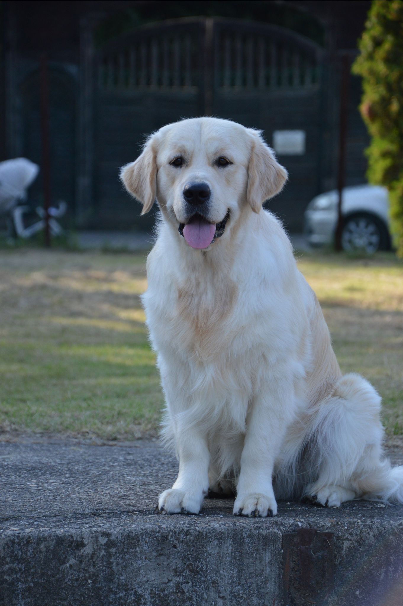 Star is Born of Sunshine's Valley