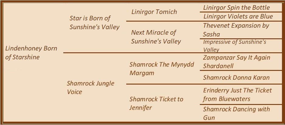 Lindenhoney Born os Starshine