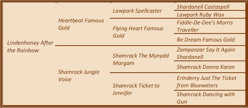 Lindenhoney After the Rainbow 'Grey'