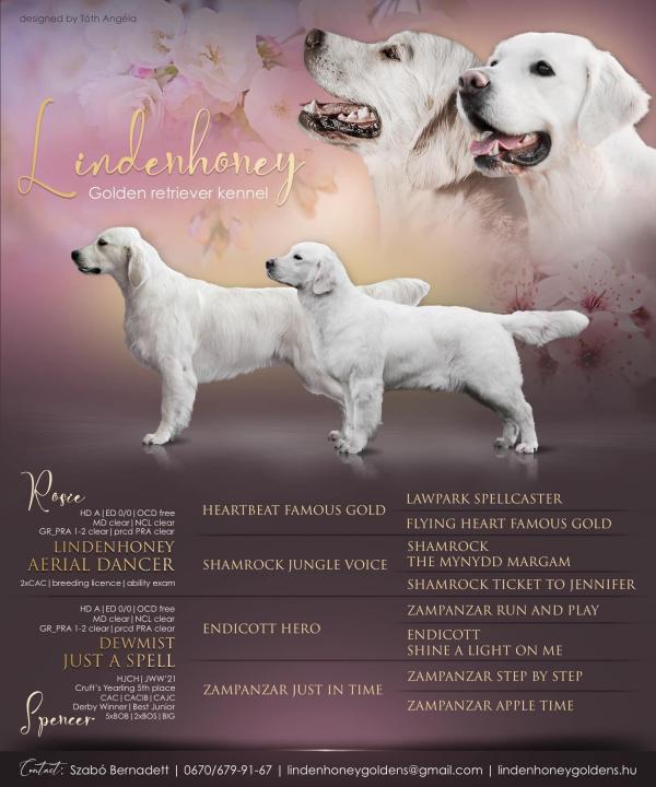 Dewmist Just A Spell x Lindenhoney Aerial Dancer