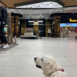 Jane, socializing in a shopping center