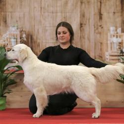 Shamrock Journey Of Life ‘Jane’