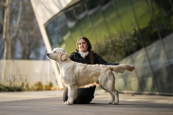 Angelonato Majestic Wizard 'Victor'