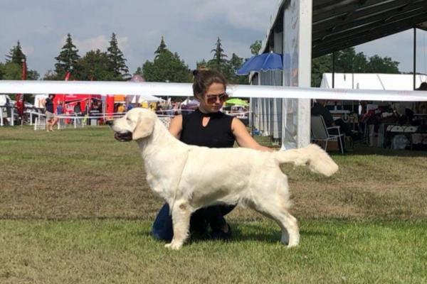 Lindenhoney Aerial Dancer