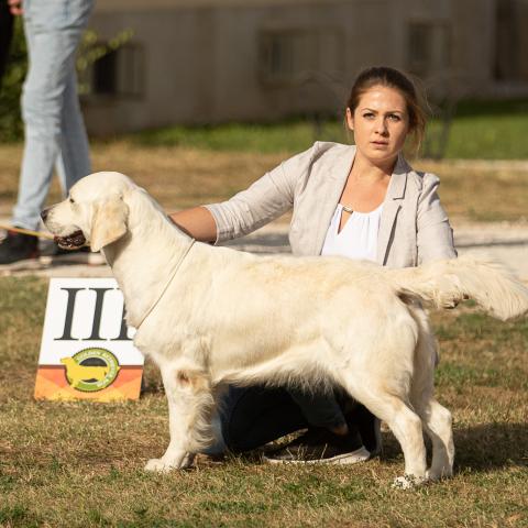 Lindenhoney Aerial Dancer
