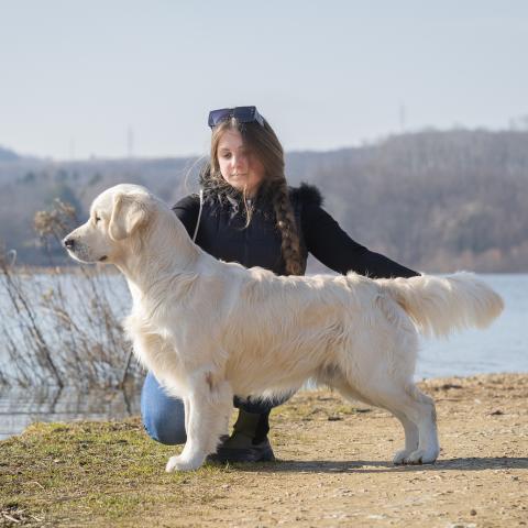 Angelonato Majestic Wizard